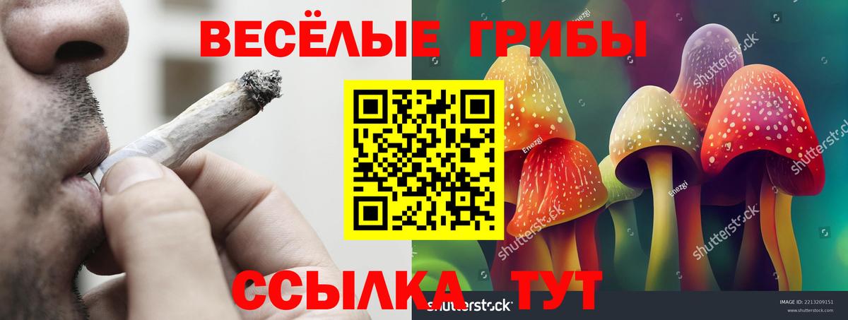 Тольятти  Псилоцибиновые грибы Psilocybine cubensis  Вход с VPN 