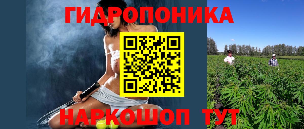 Шишки марихуана план Тольятти
